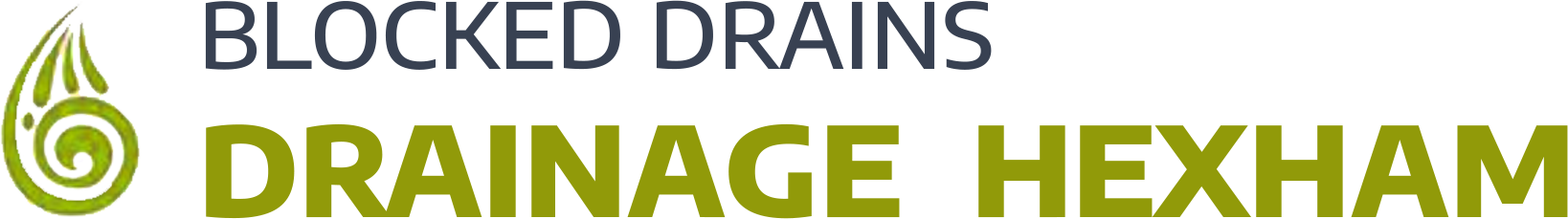 website logo